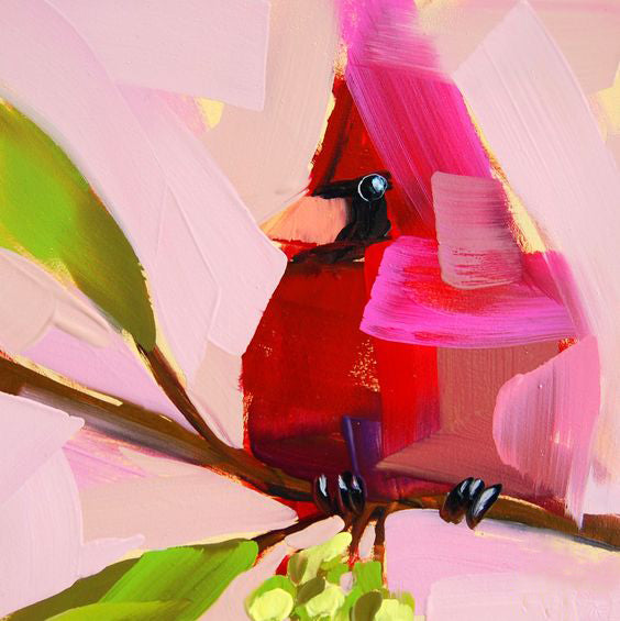 Blushing Bird