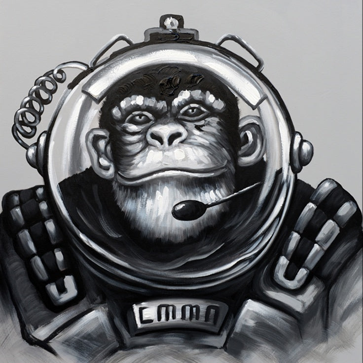 Ape Expedition