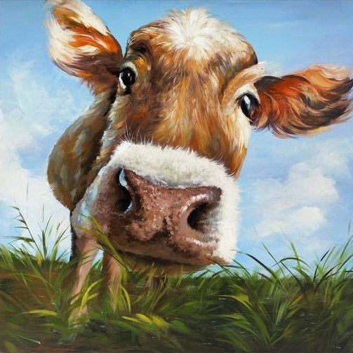 Cow Edition